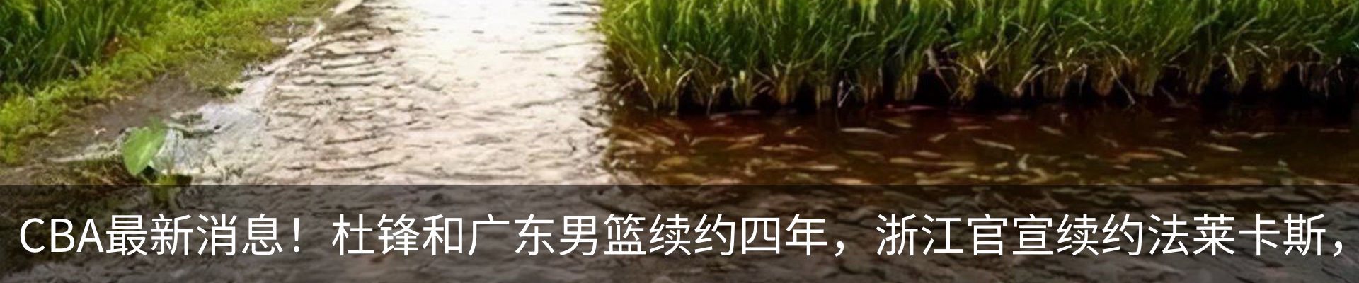 热点资讯